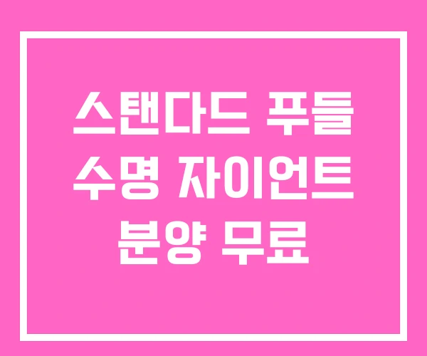 스탠다드 푸들 수명 자이언트 분양 무료