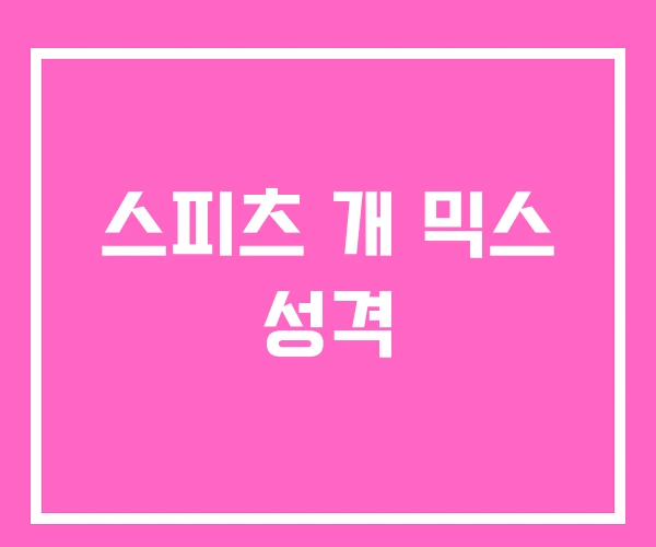 스피츠 개 믹스 성격 스피츠 개 믹스 성격