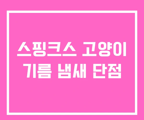 스핑크스 고양이 기름 냄새 단점 스핑크스 고양이 기름 냄새 단점