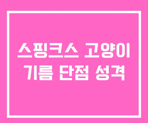 스핑크스 고양이 기름 단점 성격 스핑크스 고양이 기름 단점 성격