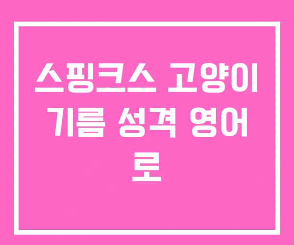 스핑크스 고양이 기름 성격 영어 로 스핑크스 고양이 기름 성격 영어 로