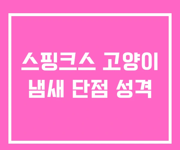 스핑크스 고양이 냄새 단점 성격