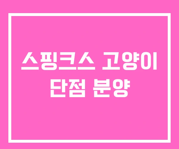 스핑크스 고양이 단점 분양 스핑크스 고양이 단점 분양