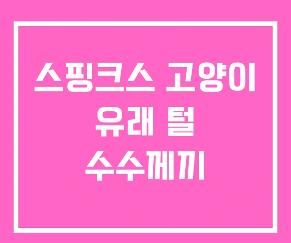 스핑크스 고양이 유래 털 수수께끼 스핑크스 고양이 유래 털 수수께끼