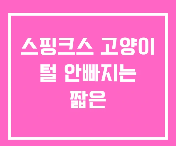 스핑크스 고양이 털 안빠지는 짧은 스핑크스 고양이 털 안빠지는 짧은