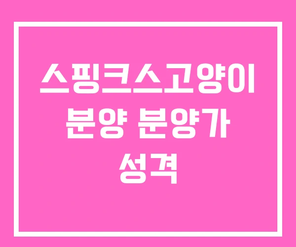 스핑크스고양이 분양 분양가 성격 스핑크스고양이 분양 분양가 성격