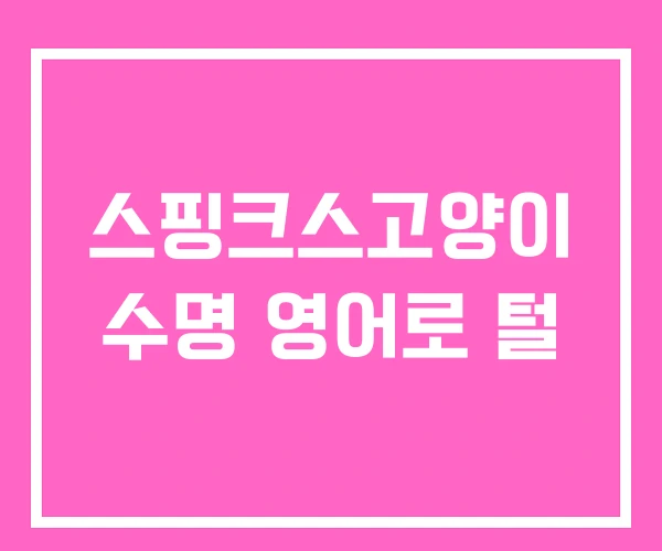 스핑크스고양이 수명 영어로 털 스핑크스고양이 수명 영어로 털