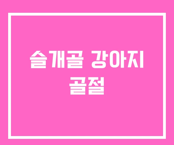 슬개골 강아지 골절