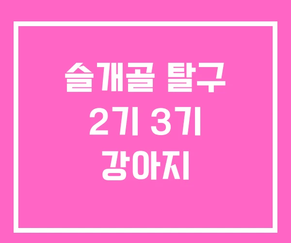 슬개골 탈구 2기 3기 강아지 슬개골 탈구 2기 3기 강아지