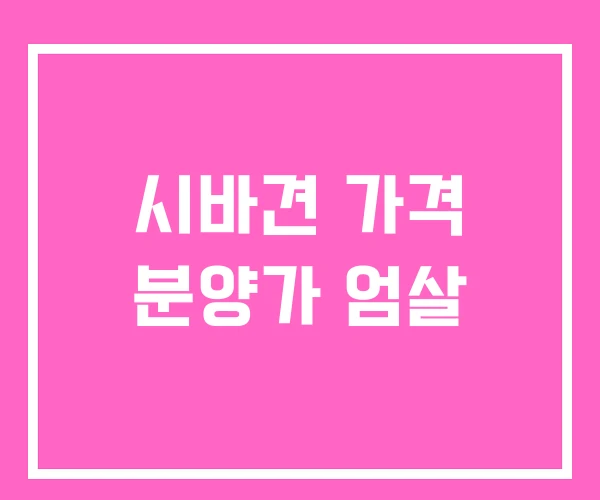 시바견 가격 분양가 엄살 시바견 가격 분양가 엄살