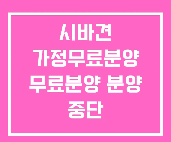 시바견 가정무료분양 무료분양 분양 중단 시바견 가정무료분양 무료분양 분양 중단