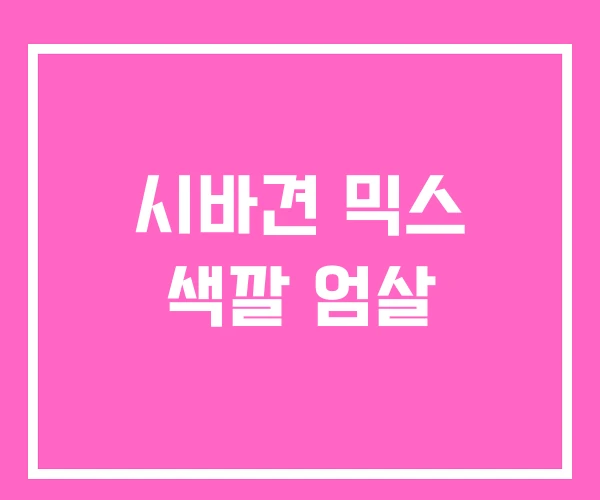 시바견 믹스 색깔 엄살 시바견 믹스 색깔 엄살