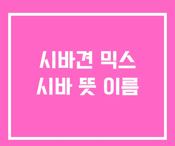 시바견 믹스 시바 뜻 이름 시바견 믹스 시바 뜻 이름