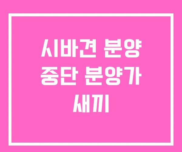 시바견 분양 중단 분양가 새끼