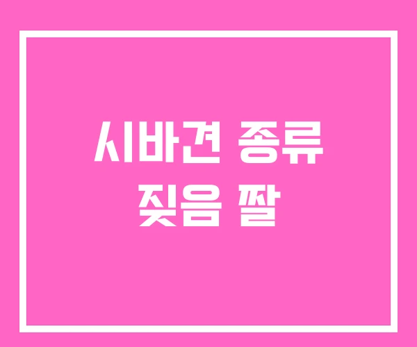 시바견 종류 짖음 짤 시바견 종류 짖음 짤