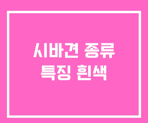시바견 종류 특징 흰색 시바견 종류 특징 흰색