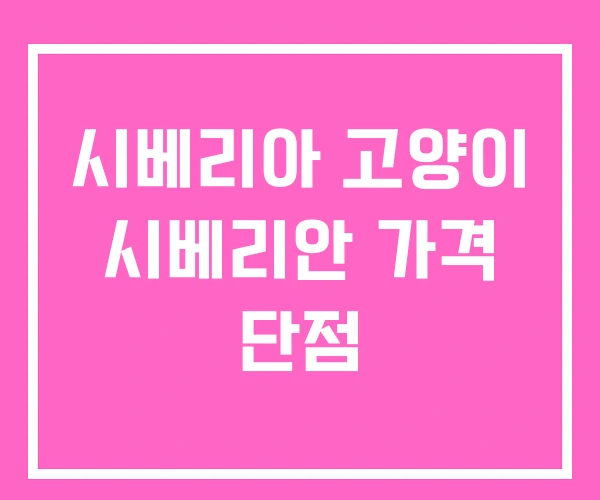 시베리아 고양이 시베리안 가격 단점