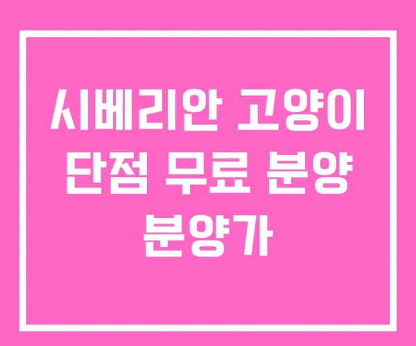 시베리안 고양이 단점 무료 분양 분양가 시베리안 고양이 단점 무료 분양 분양가