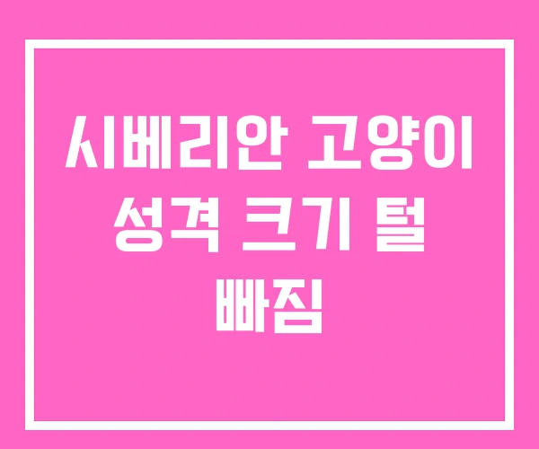 시베리안 고양이 성격 크기 털 빠짐 시베리안 고양이 성격 크기 털 빠짐