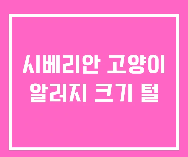 시베리안 고양이 알러지 크기 털 시베리안 고양이 알러지 크기 털