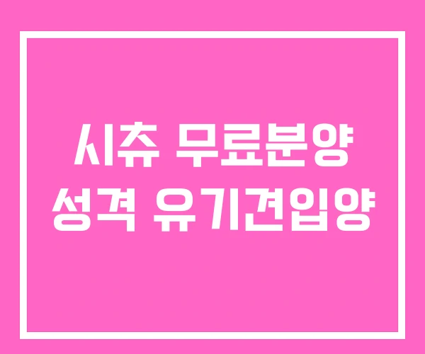 시츄 무료분양 성격 유기견입양