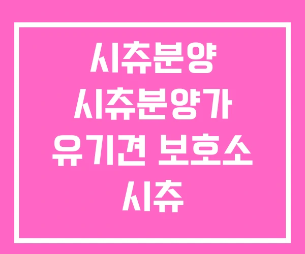 시츄분양 시츄분양가 유기견 보호소 시츄