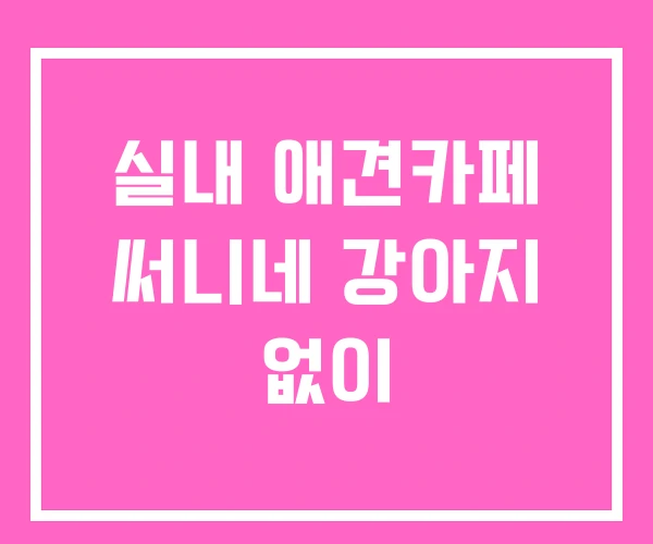실내 애견카페 써니네 강아지 없이 실내 애견카페 써니네 강아지 없이