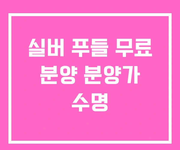 실버 푸들 무료 분양 분양가 수명
