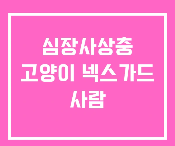 심장사상충 고양이 넥스가드 사람 심장사상충 고양이 넥스가드 사람