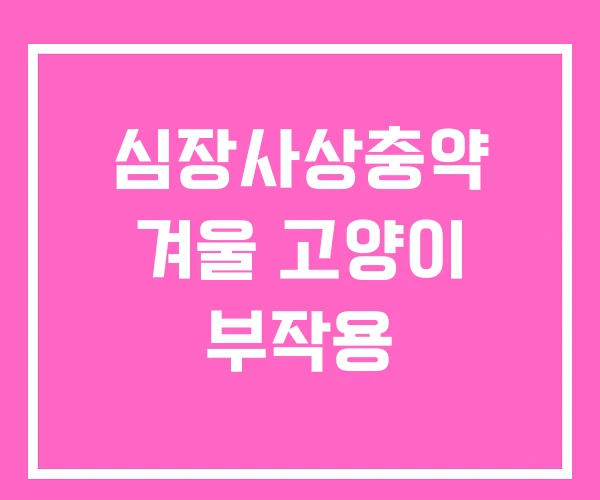 심장사상충약 겨울 고양이 부작용 심장사상충약 겨울 고양이 부작용