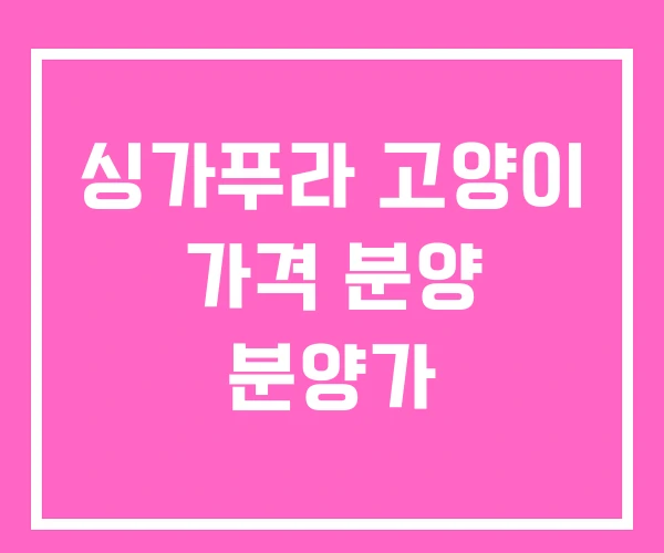 싱가푸라 고양이 가격 분양 분양가 싱가푸라 고양이 가격 분양 분양가