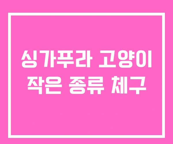 싱가푸라 고양이 작은 종류 체구 싱가푸라 고양이 작은 종류 체구