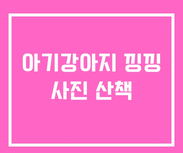 아기강아지 낑낑 사진 산책