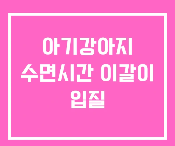 아기강아지 수면시간 이갈이 입질