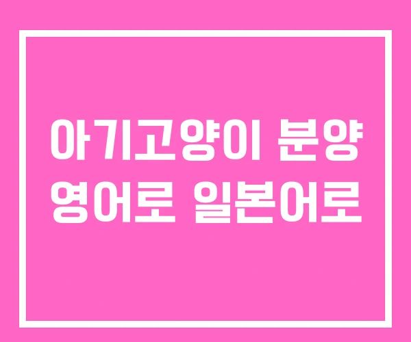아기고양이 분양 영어로 일본어로
