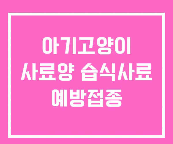 아기고양이 사료양 습식사료 예방접종