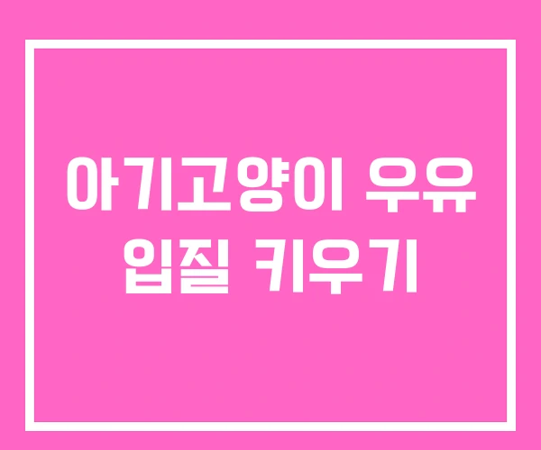 아기고양이 우유 입질 키우기