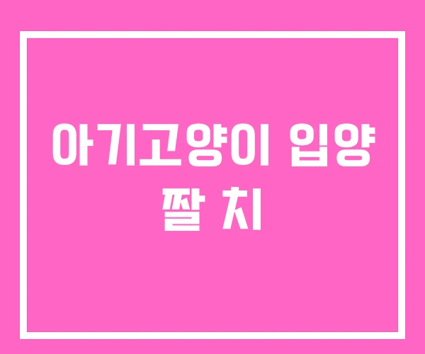 아기고양이 입양 짤 치 아기고양이 입양 짤 치