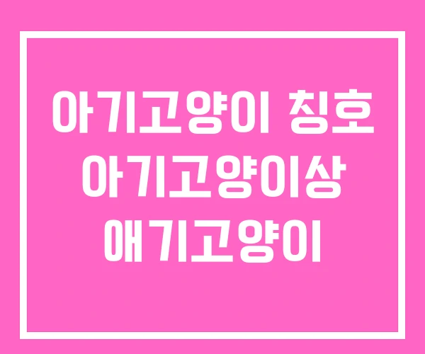 아기고양이 칭호 아기고양이상 애기고양이 아기고양이 칭호 아기고양이상 애기고양이