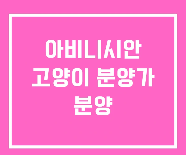 아비니시안 고양이 분양가 분양
