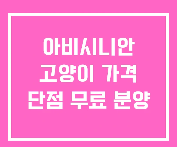 아비시니안 고양이 가격 단점 무료 분양 아비시니안 고양이 가격 단점 무료 분양