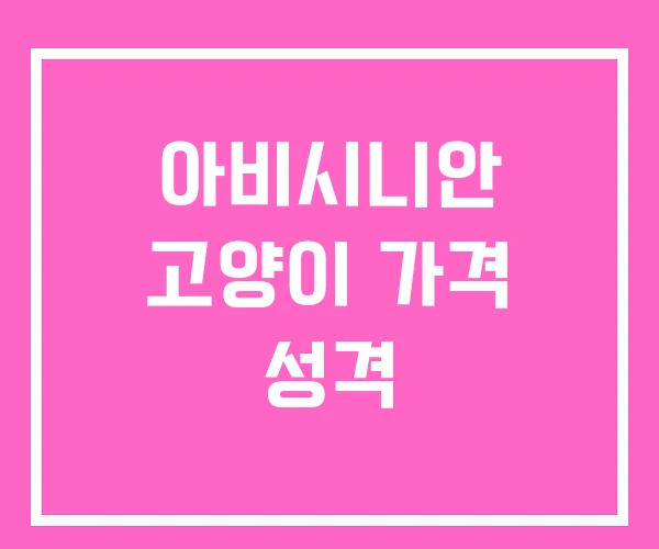 아비시니안 고양이 가격 성격 아비시니안 고양이 가격 성격