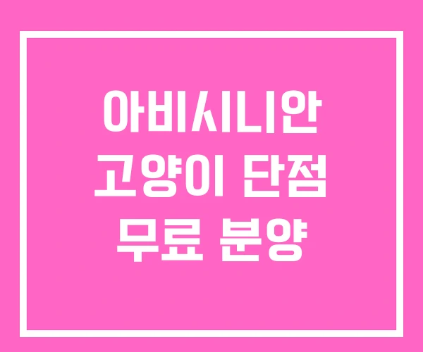 아비시니안 고양이 단점 무료 분양 아비시니안 고양이 단점 무료 분양