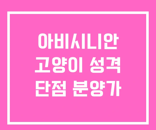 아비시니안 고양이 성격 단점 분양가 아비시니안 고양이 성격 단점 분양가