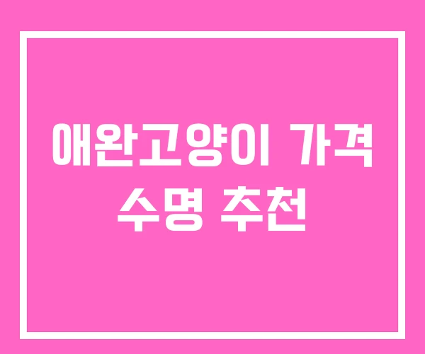 애완고양이 가격 수명 추천