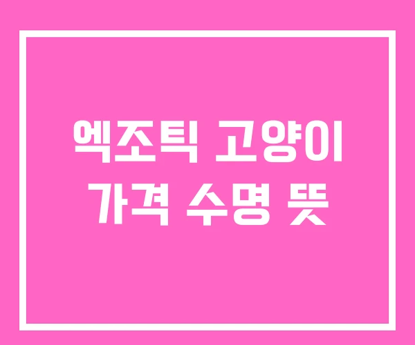 엑조틱 고양이 가격 수명 뜻 엑조틱 고양이 가격 수명 뜻