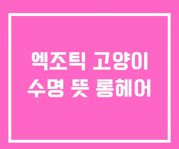 엑조틱 고양이 수명 뜻 롱헤어 엑조틱 고양이 수명 뜻 롱헤어