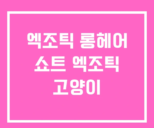 엑조틱 롱헤어 쇼트 엑조틱 고양이