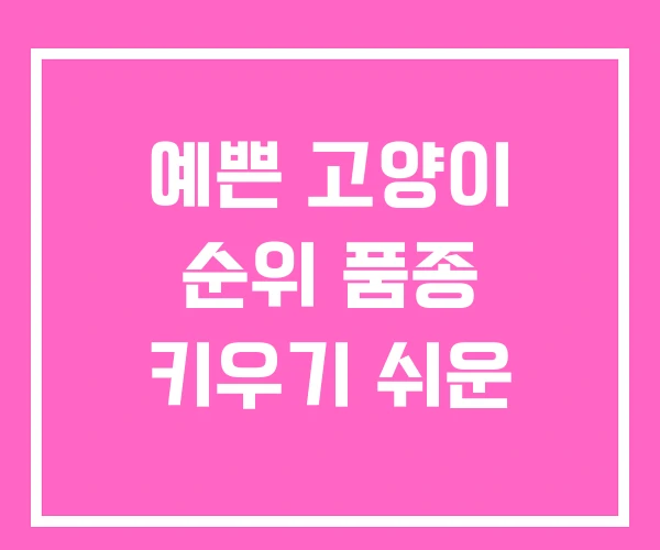 예쁜 고양이 순위 품종 키우기 쉬운 예쁜 고양이 순위 품종 키우기 쉬운