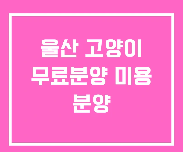울산 고양이 무료분양 미용 분양